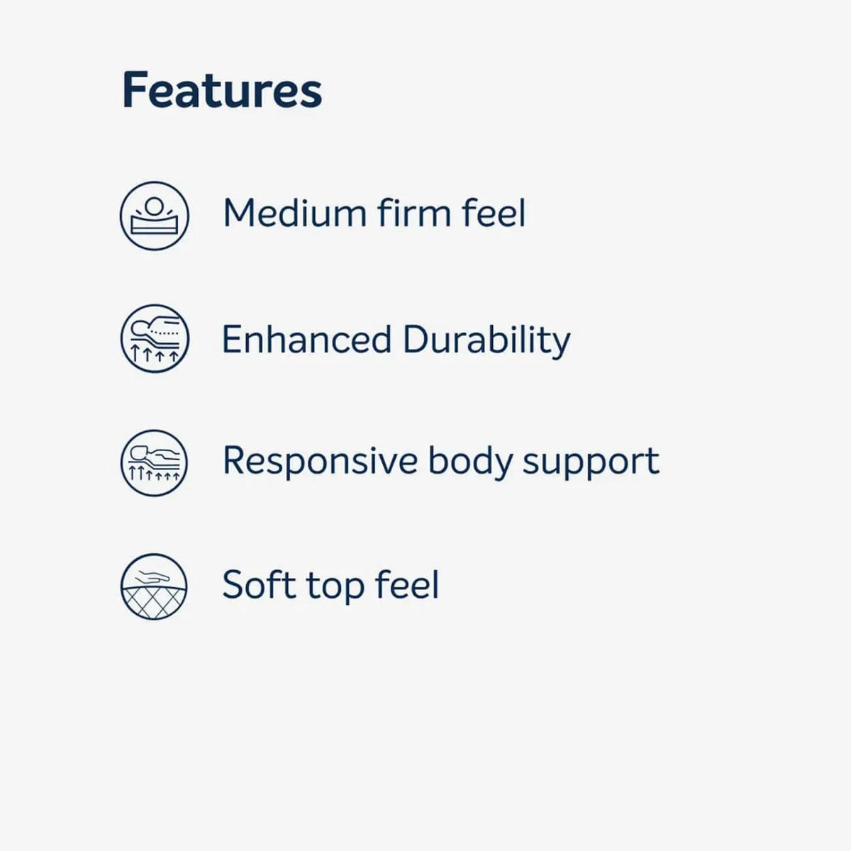 Spine Regular Plus Feature